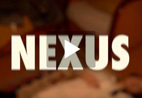 Nexus